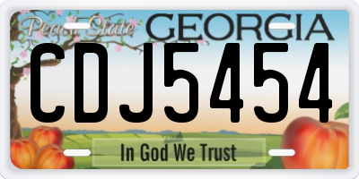 GA license plate CDJ5454