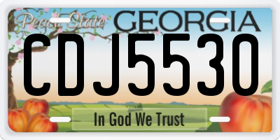 GA license plate CDJ5530
