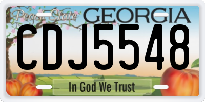 GA license plate CDJ5548