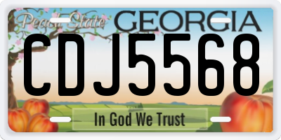 GA license plate CDJ5568