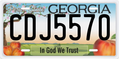 GA license plate CDJ5570