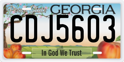 GA license plate CDJ5603