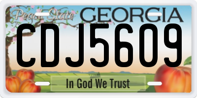 GA license plate CDJ5609
