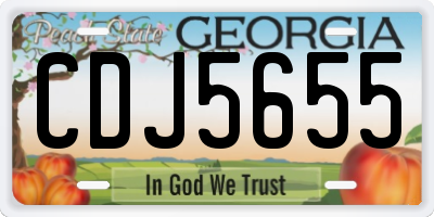 GA license plate CDJ5655