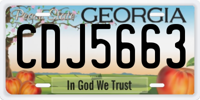 GA license plate CDJ5663