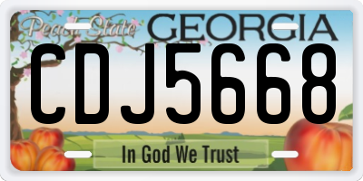 GA license plate CDJ5668