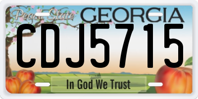 GA license plate CDJ5715