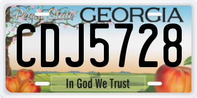 GA license plate CDJ5728