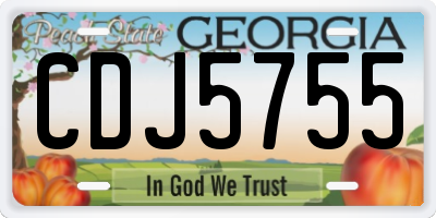 GA license plate CDJ5755