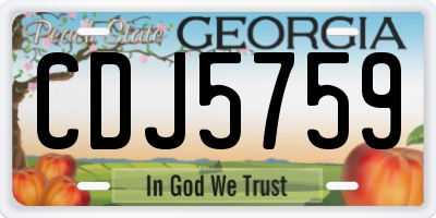 GA license plate CDJ5759