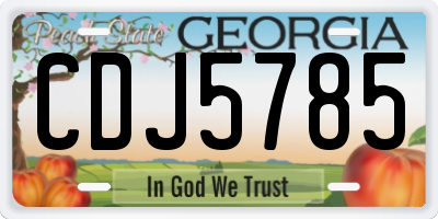 GA license plate CDJ5785
