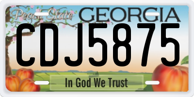 GA license plate CDJ5875