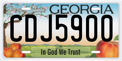 GA license plate CDJ5900