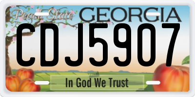 GA license plate CDJ5907