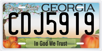 GA license plate CDJ5919