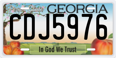 GA license plate CDJ5976