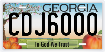 GA license plate CDJ6000