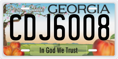 GA license plate CDJ6008
