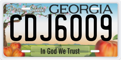 GA license plate CDJ6009
