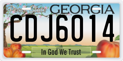 GA license plate CDJ6014