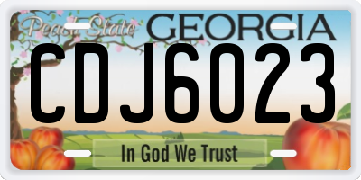 GA license plate CDJ6023