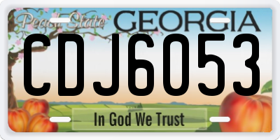 GA license plate CDJ6053