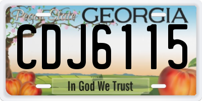 GA license plate CDJ6115