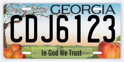 GA license plate CDJ6123