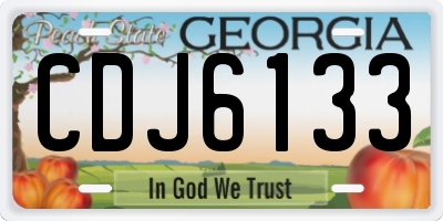 GA license plate CDJ6133
