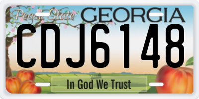 GA license plate CDJ6148