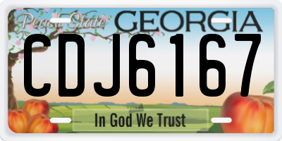 GA license plate CDJ6167