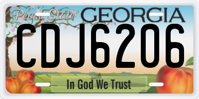 GA license plate CDJ6206