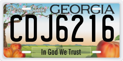 GA license plate CDJ6216
