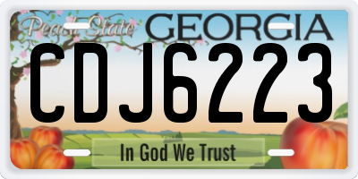 GA license plate CDJ6223