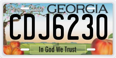 GA license plate CDJ6230