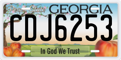 GA license plate CDJ6253