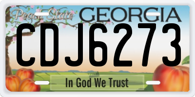 GA license plate CDJ6273