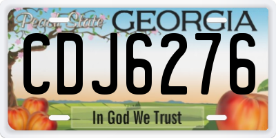 GA license plate CDJ6276