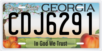 GA license plate CDJ6291