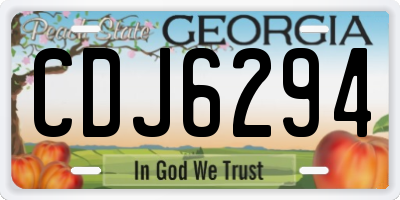 GA license plate CDJ6294