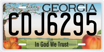 GA license plate CDJ6295