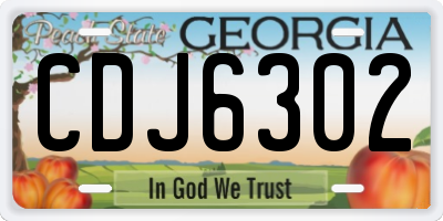 GA license plate CDJ6302