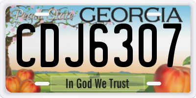 GA license plate CDJ6307