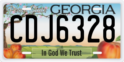 GA license plate CDJ6328