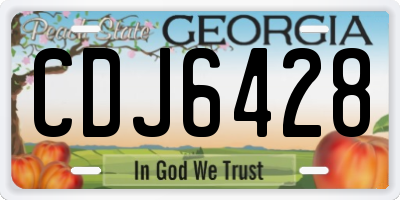 GA license plate CDJ6428
