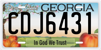 GA license plate CDJ6431