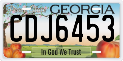 GA license plate CDJ6453