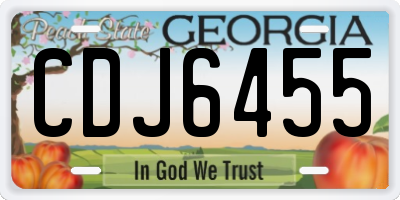 GA license plate CDJ6455