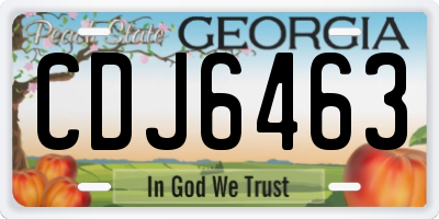 GA license plate CDJ6463