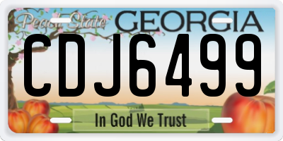 GA license plate CDJ6499